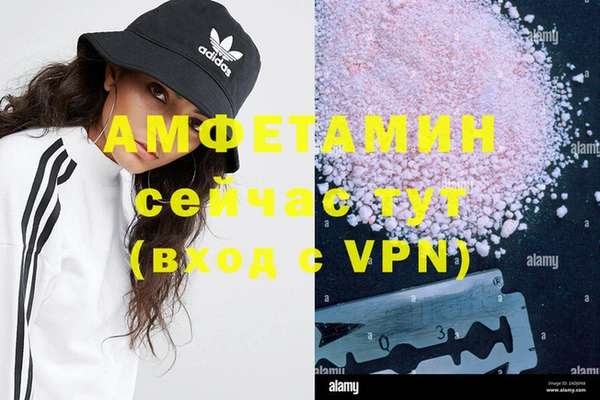 прущие грибы Горно-Алтайск