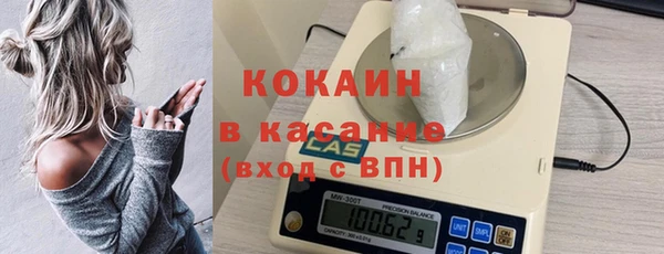 прущие грибы Горно-Алтайск