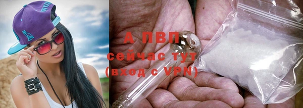 прущая мука Горняк