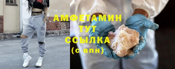 прущие грибы Горно-Алтайск