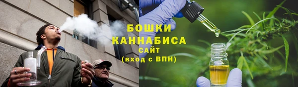 прущие грибы Горно-Алтайск