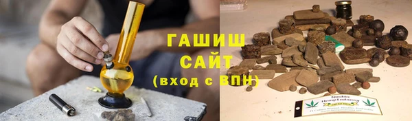 прущие грибы Горно-Алтайск