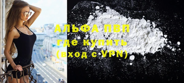 прущие грибы Горно-Алтайск