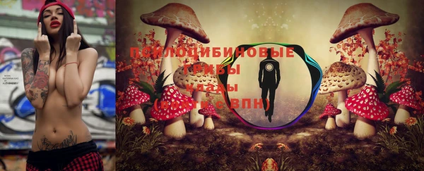 прущая мука Горняк