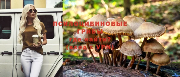 прущая мука Горняк
