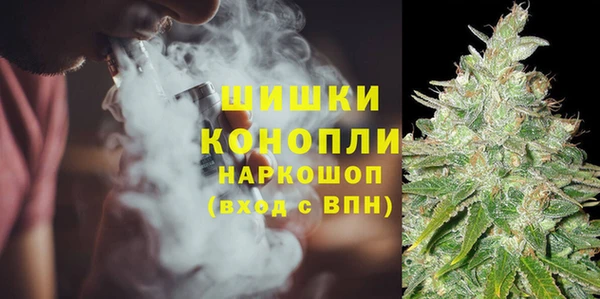 прущая мука Горняк
