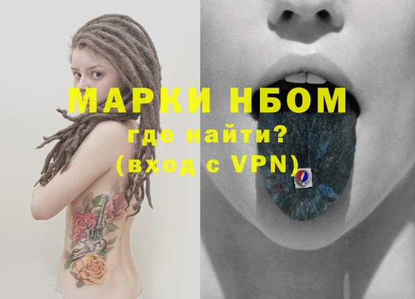 прущие грибы Горно-Алтайск