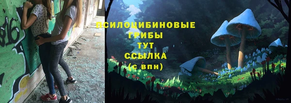 прущая мука Горняк