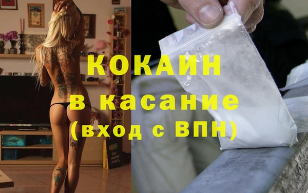 прущие грибы Горно-Алтайск