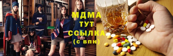 прущие грибы Горно-Алтайск