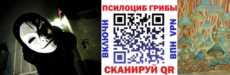 blacksprut ТОР Москва Псилоцибиновые грибы Magic Shrooms что такое